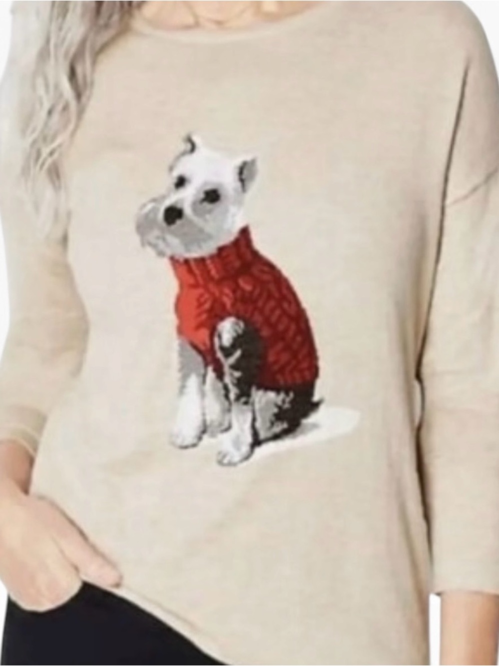 J. Jill Scottie in a Sweater Intarsia Crew Neck Beige Red Size 1X